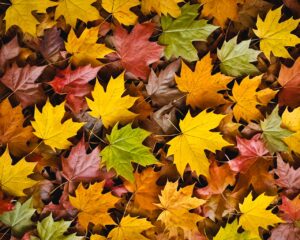 Fall leaves are a gardens secret weapon - igrowhort