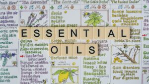 Essential Oils That Can Benefit Plants