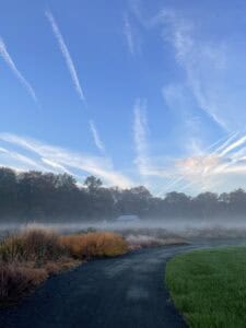 Piet Oudolf Meadow at Morning Light
