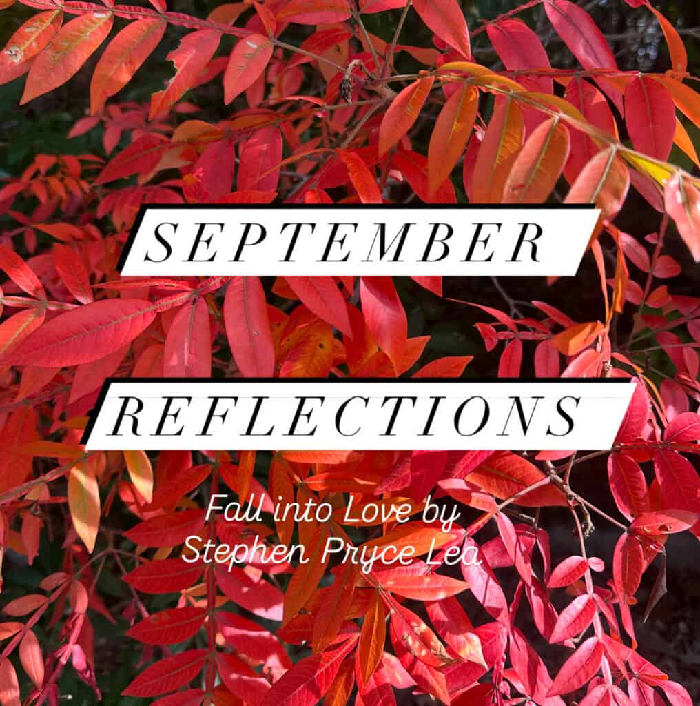 aSeptember Reflections
