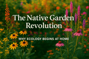 native-garden-revolution