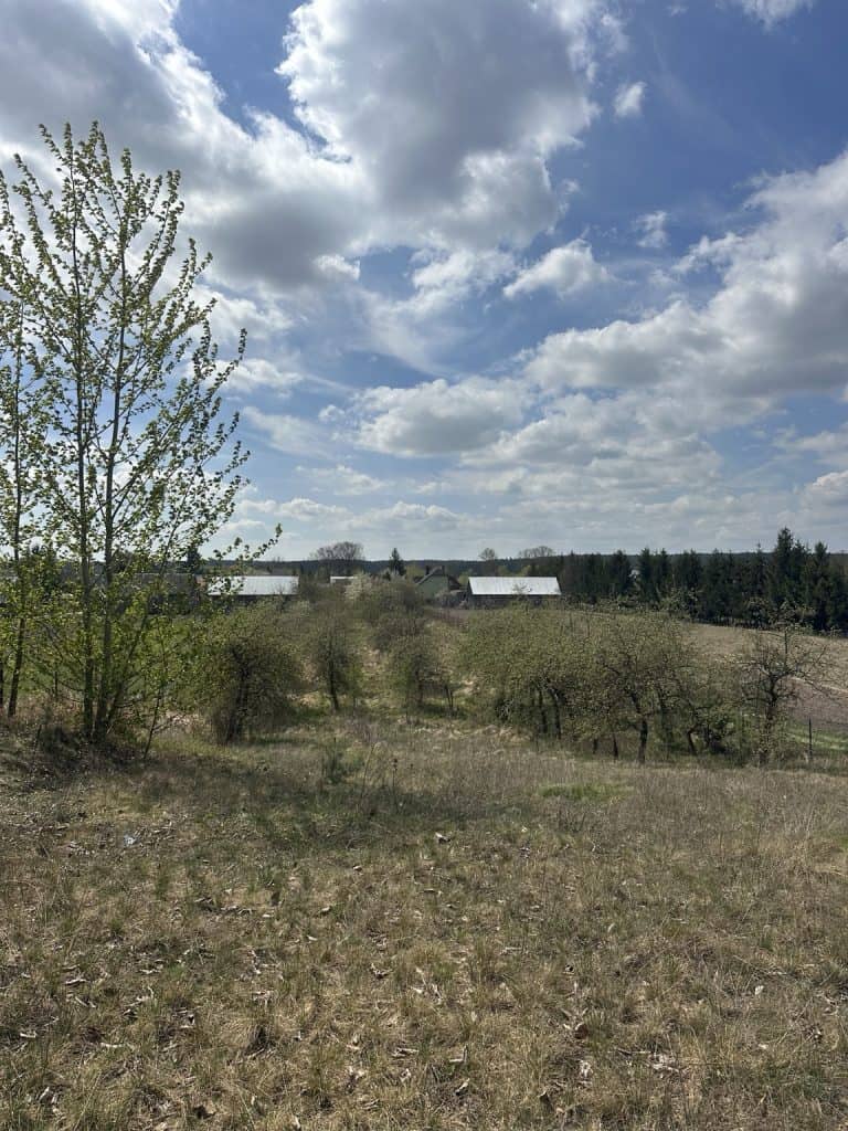 Restoring Not Resetting-orchard